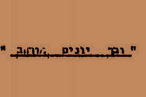 מסמכים יומנים ופרוטוקולים