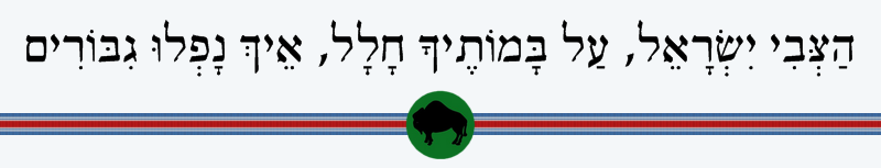 הצבי ישראל על במותיך חלל